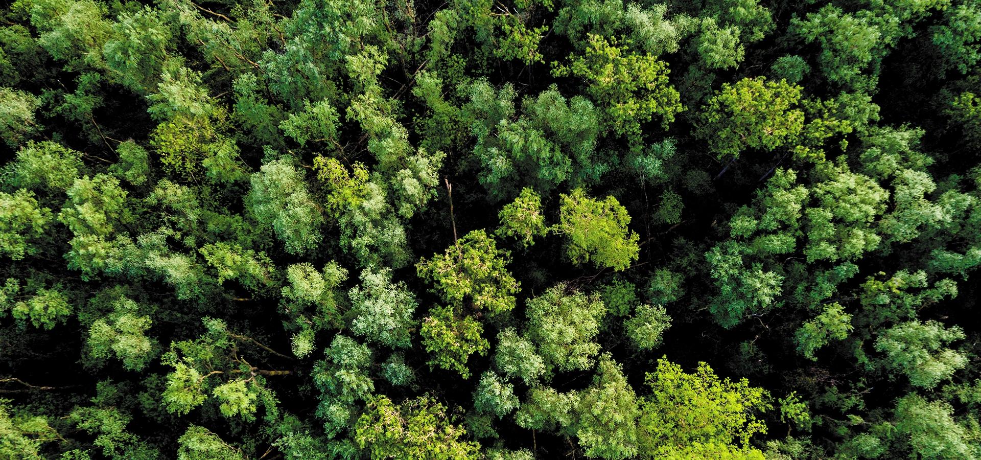 Godrej Country Estate, Manor Banner3